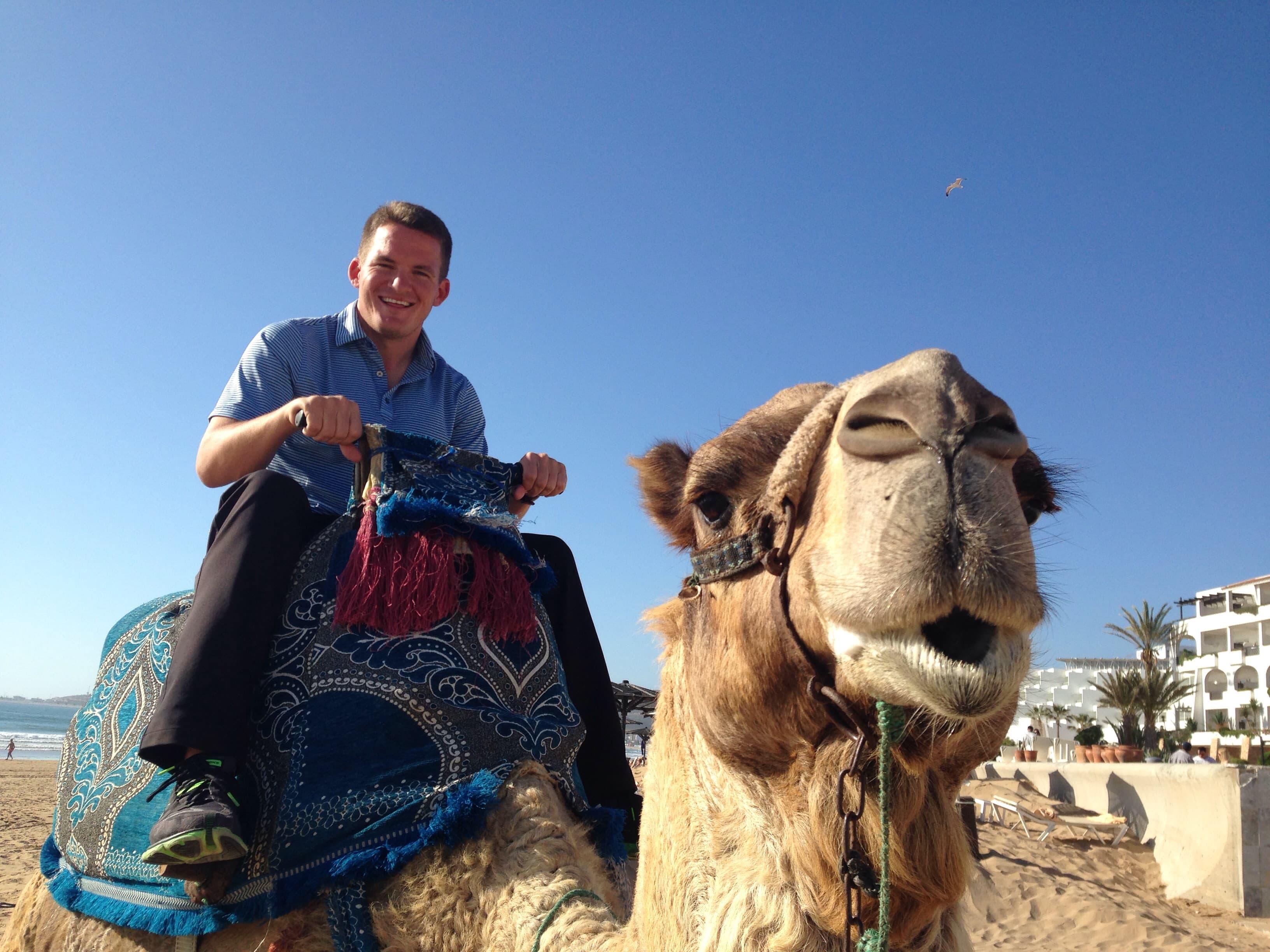 John Hahn profile photo