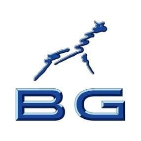 Blue Giraffe Sports profile image