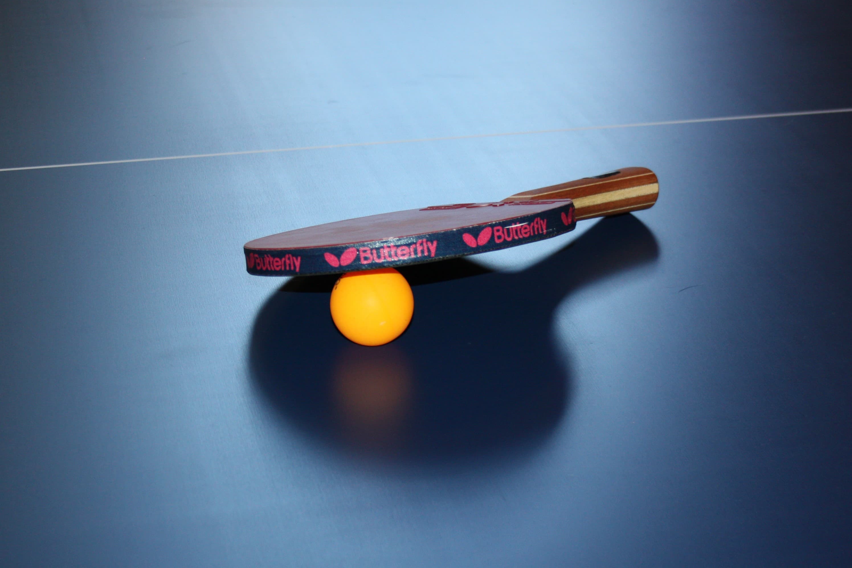 North Shore Table Tennis Club profile photo