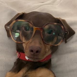 Amanda Batula profile photo