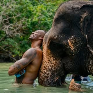 Dwight Howard profile image