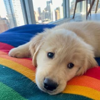 Maggie and Her Dads profile image