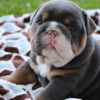 Winnie Paige profile image