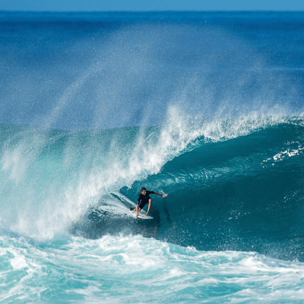 Leonardo Fioravanti profile photo