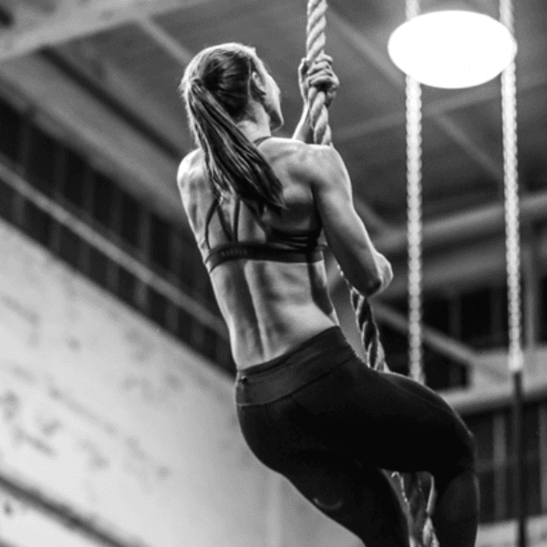 Lauren Lavallee profile image