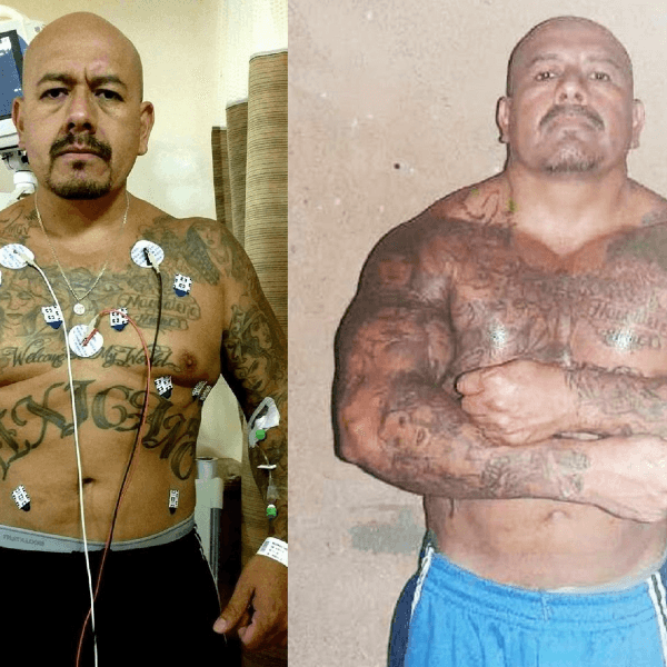 Saul Maldonado profile image