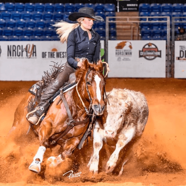 Sarah Wolfs profile image