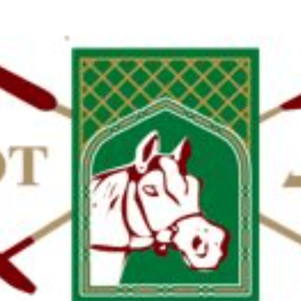 HH President of UAE Polo Cup profile photo