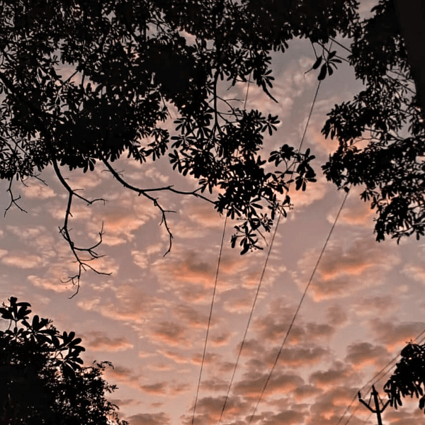 Himanshu Saikia profile photo