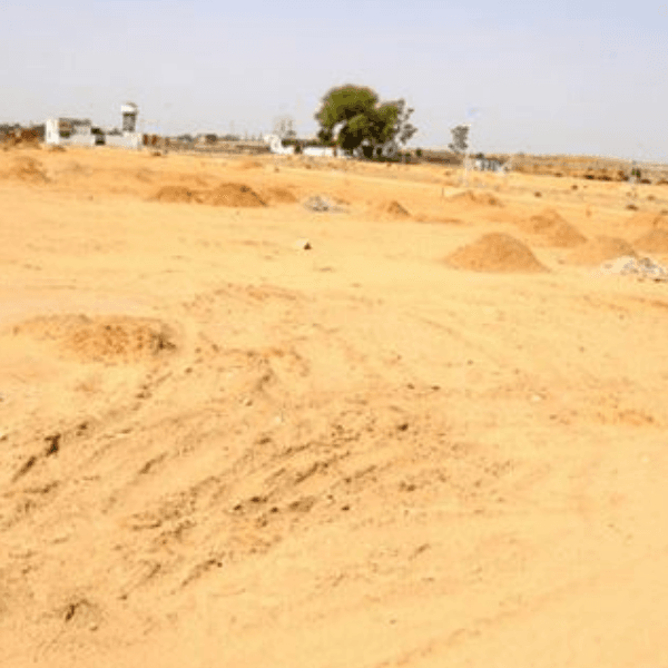 rajasthan sher profile image