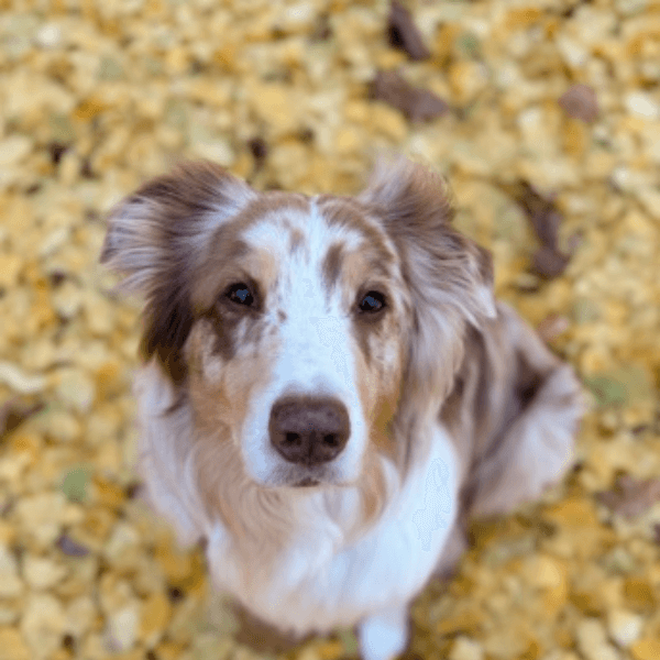 Sanaa And Jaxson profile image