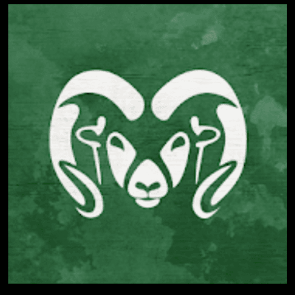 Tinora Women’s Wrestling profile image