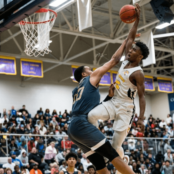 Chase Forte profile image