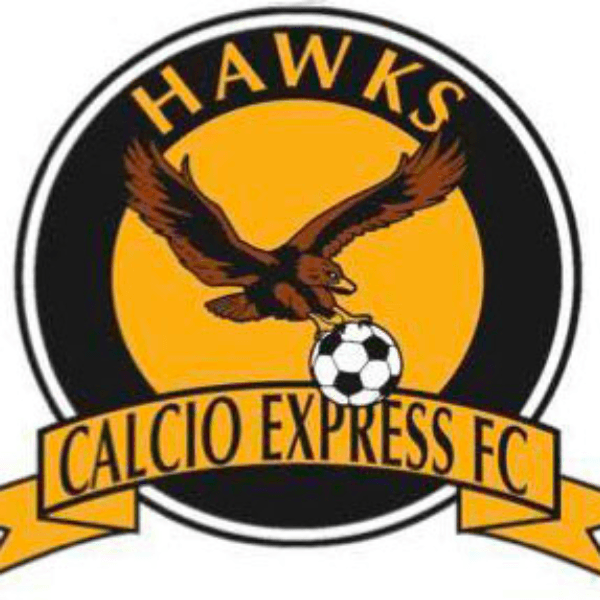 Calcio Express Hawks FC profile photo