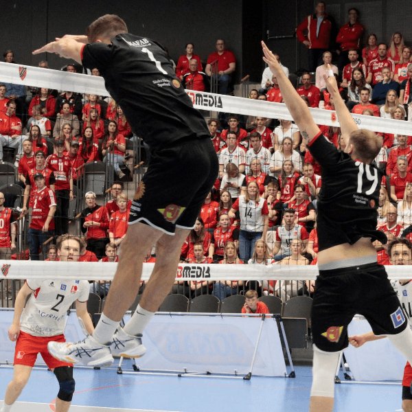 Pierce Johnson profile image