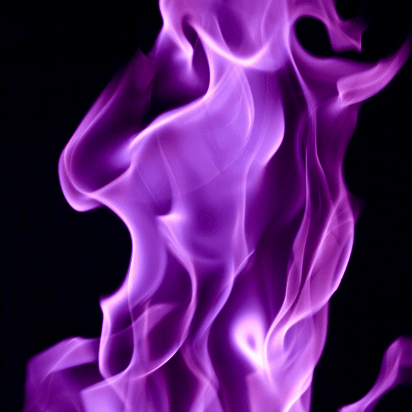 William Merritt profile photo