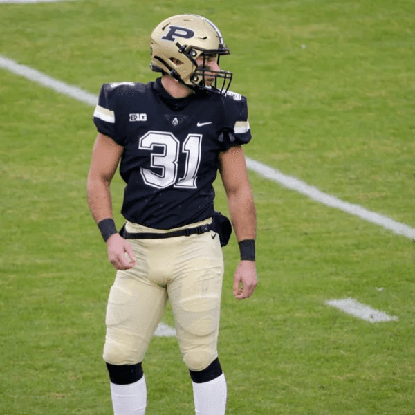 Nick Zecchino profile image