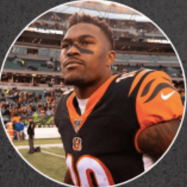 Auden Tate profile image