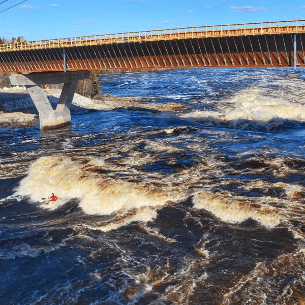 Luke Pomeroy profile image