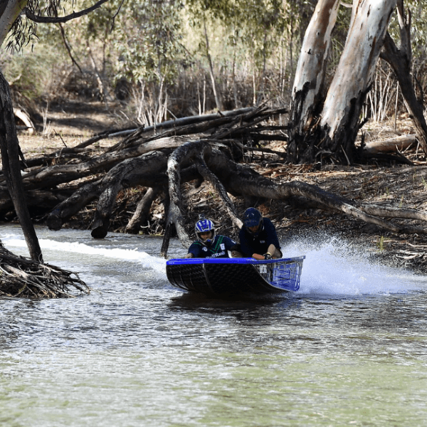 Thomas Alm profile image