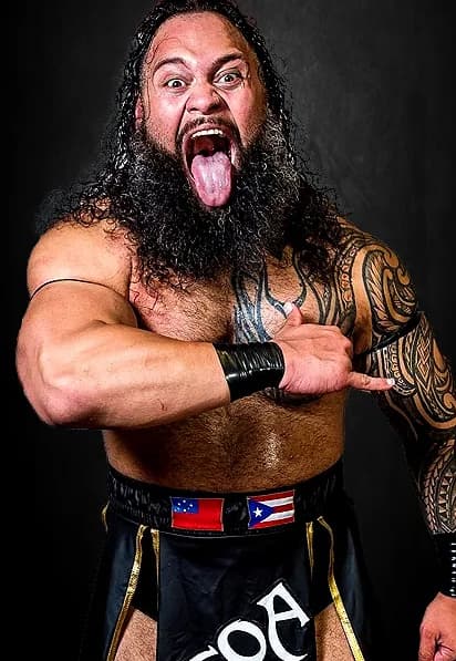 Toa Liona profile image