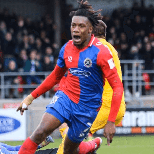 Alexander McQueen profile image