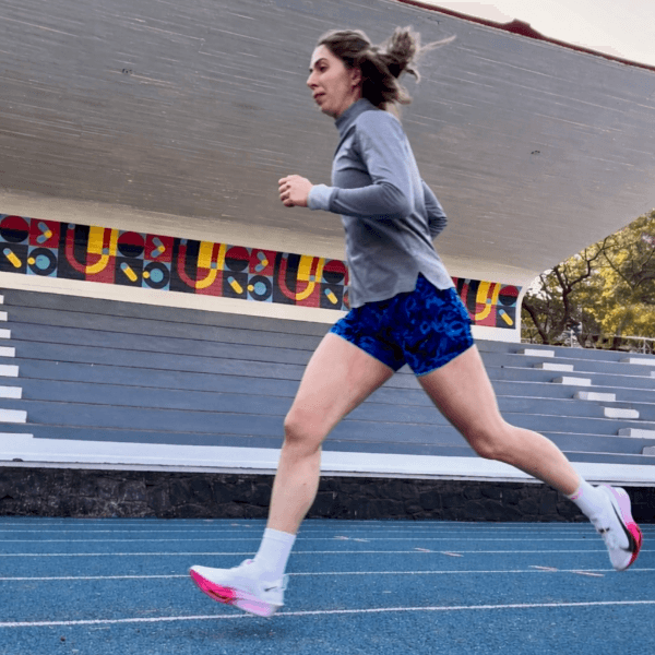 Lilia Araceli del Carmen Guinea Dominguez profile image