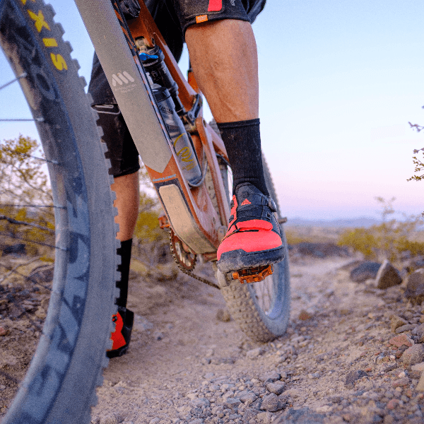 Chris Gorney profile image