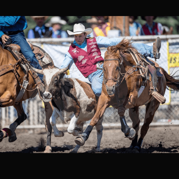 garrett shell profile image