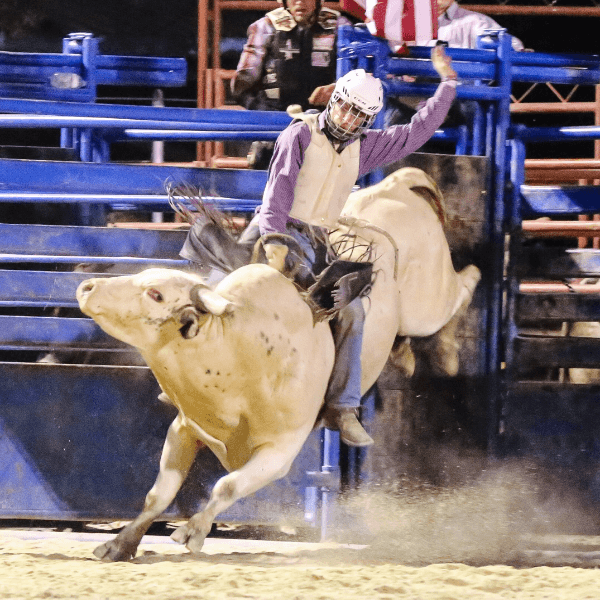 Tyler Bunton profile image