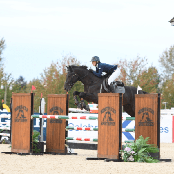 Brienne Bute profile image