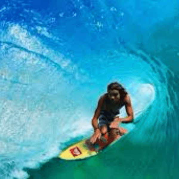 Craig Anderson profile image