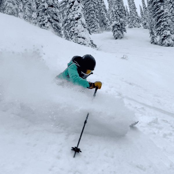 Maia Bickert profile image