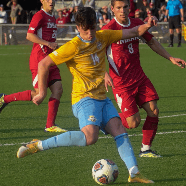 Nick Guido profile image