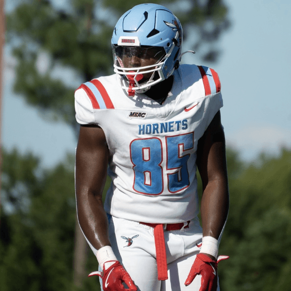 Malcolm Jefferies profile image