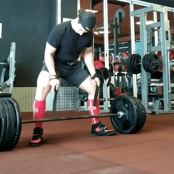 Matteo Sisti profile image