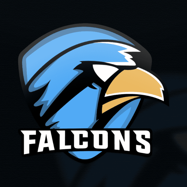 ToxicFalcons eSports profile photo