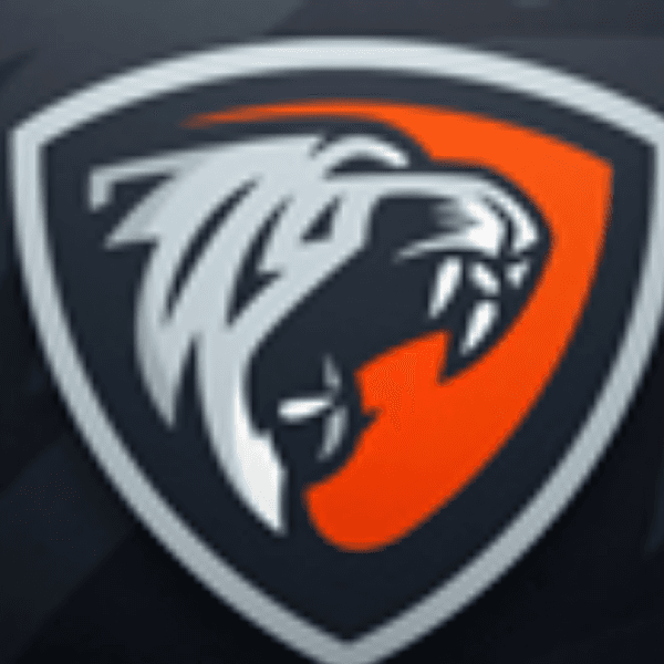 Kingston FC profile photo