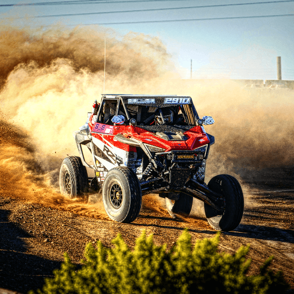 David Casal profile image