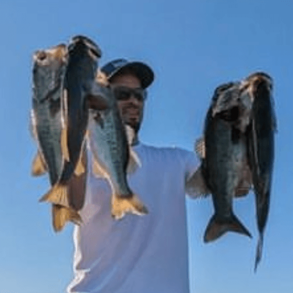 Jose Marrero profile photo