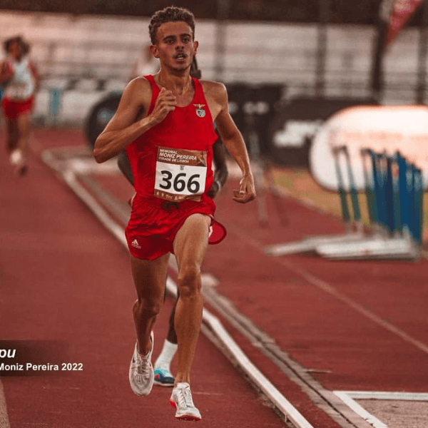 Alexandre Figueiredo profile image