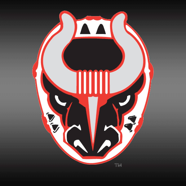 Birmingham Bulls profile image