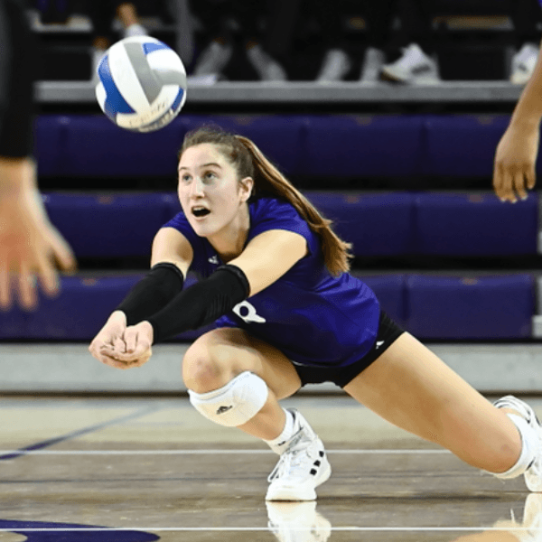 Sydney Palazzolo profile image