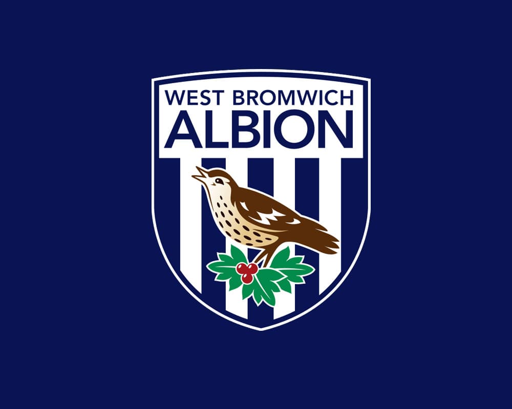 West Bromwich Albion Football Club profile image