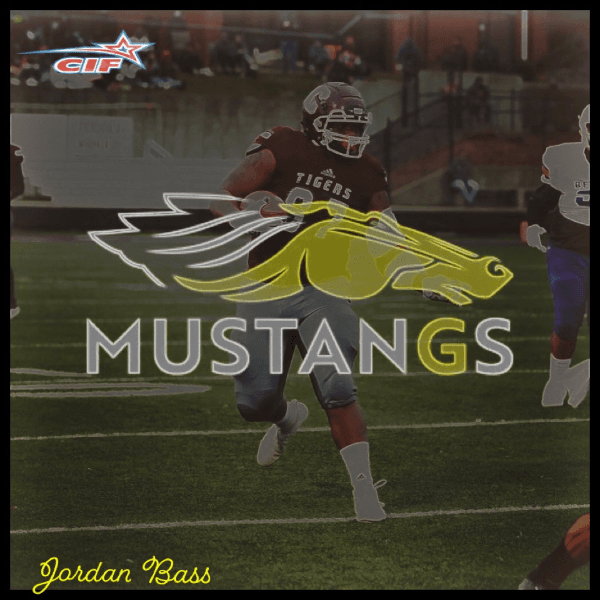 Jordan Bass profile image