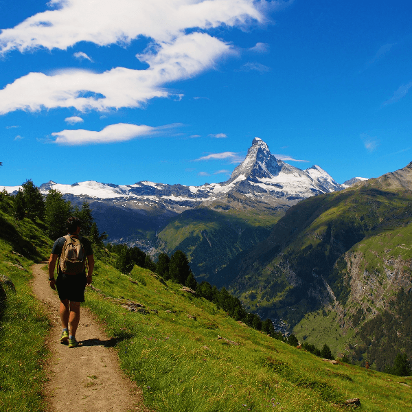 Chris Burns profile image