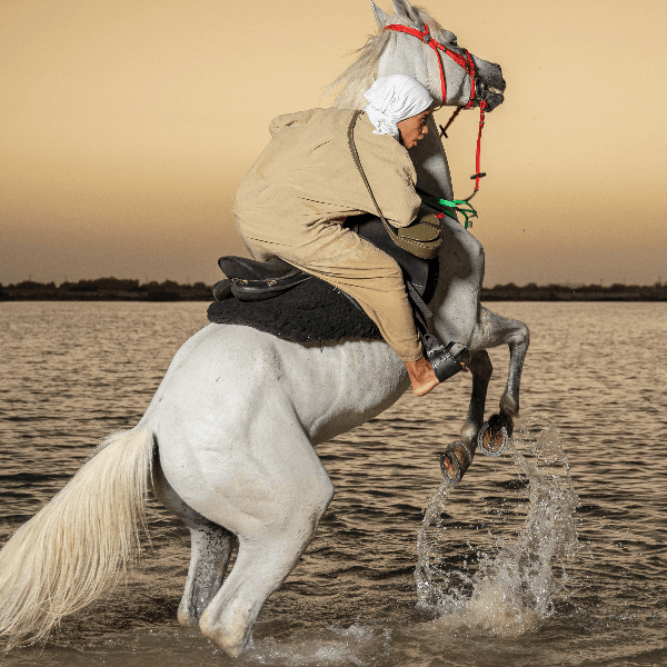 Fatima Alharthi profile photo