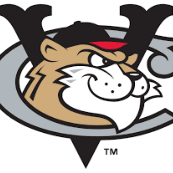 Tri-City ValleyCats profile image