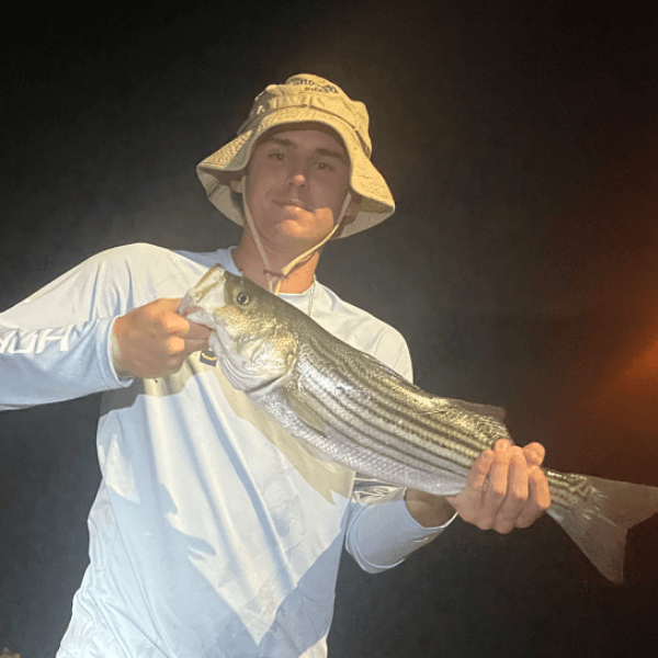 Matt McLaughlin profile photo