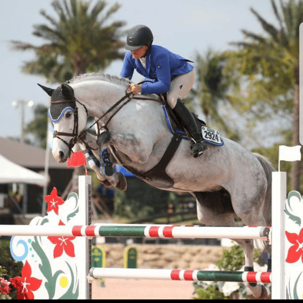 Taylor Flury profile image